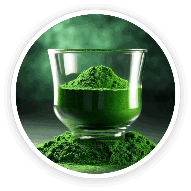 image shows ingridient sodium copper chlorophyllin which is present in product